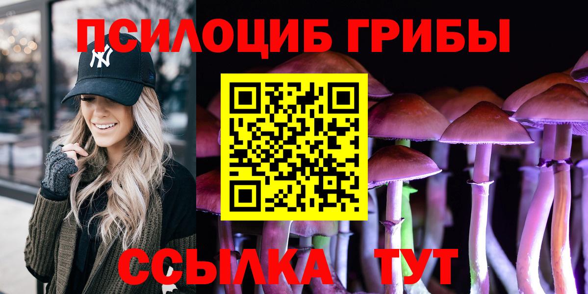 Псилоцибиновые грибы Psilocybe  Псилоцибиновые грибы прущие грибы  Ессентуки  Вход с VPN 