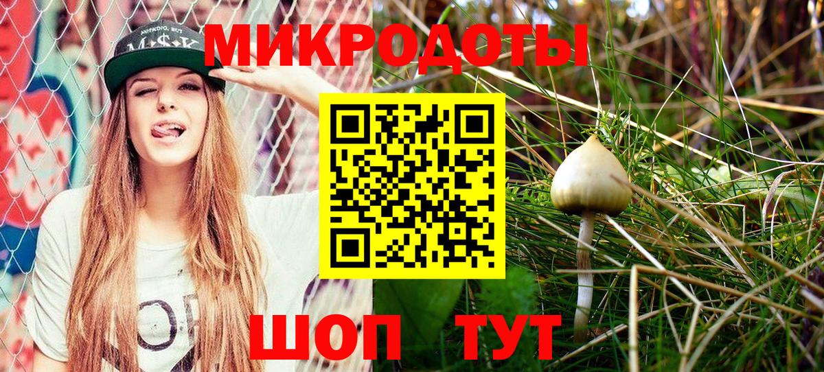 Галлюциногенные грибы Magic Shrooms Ессентуки