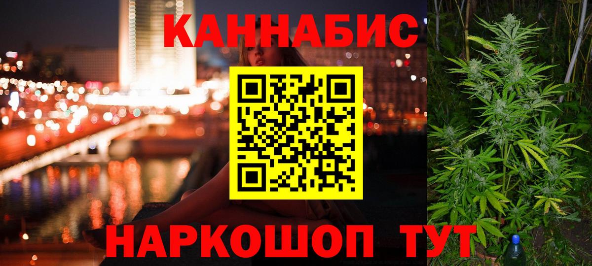 Каннабис план Ессентуки